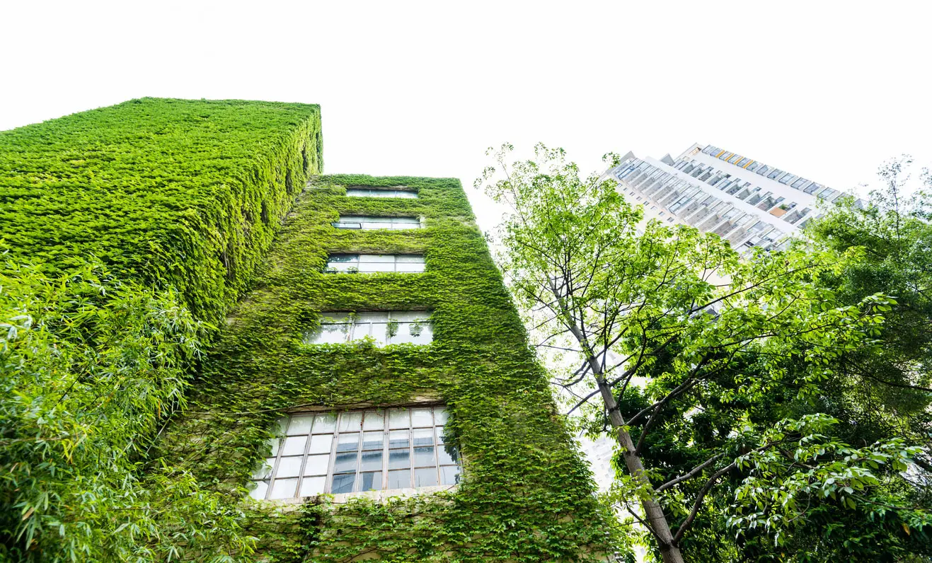 فضاهای سبز و دسترسی به حمل‌ونقل عمومی در ساختمان‌های پایدار