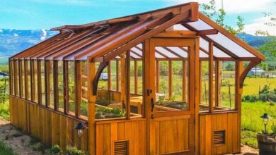 گلخانه‌های ساختمانی؛ طراحی فضاهای کشاورزی مدرن Building Greenhouses