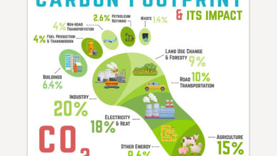 مدیریت کربن ساختمان؛ کاهش انتشار آلاینده‌های پروژه‌های عمرانی Building Carbon Management