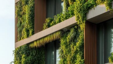 طراحی باغ ویلا؛ معماری ترکیبی ساختمان و طبیعت Garden Villa Design