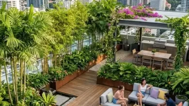 طراحی روف‌گاردن؛ ایجاد فضای سبز روی بام ساختمان Roof Garden Architecture