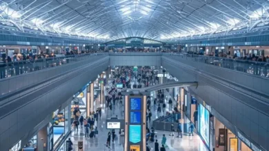 ساختمان‌های فرودگاهی؛ معماری ترمینال‌ها و فضاهای حمل‌ونقل Airport Building Design