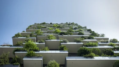 ساخت پایدار پروژه‌های عمرانی؛ اصول توسعه سبز Sustainable Construction Practices