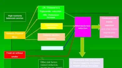 نرم‌افزارهای تحلیل سازه؛ معرفی ابزارهای مهندسی عمران Structural Analysis Software