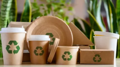 مصالح پایدار ساختمانی؛ انتخاب مواد سازگار با محیط‌زیست Sustainable Building Materials