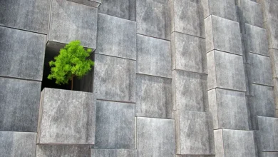 سیمان سبز؛ نوآوری در تولید مصالح کم‌کربن Green Cement