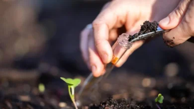 آزمایش خاک ساختمان؛ روش‌های بررسی کیفیت زمین پروژه Soil Testing