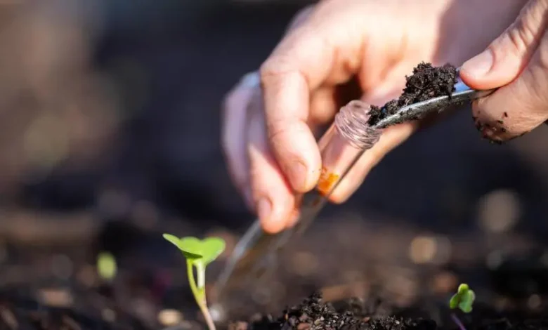 آزمایش خاک ساختمان؛ روش‌های بررسی کیفیت زمین پروژه Soil Testing