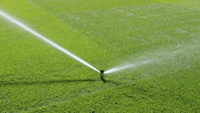 اسپرینکلر هوشمند ساختمان؛ سیستم پاشش خودکار آب Smart Sprinkler Systems