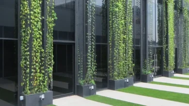 نمای سبز ساختمان؛ فناوری پوشش گیاهی نمای بنا Green Facade Design
