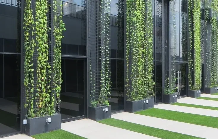 نمای سبز ساختمان؛ فناوری پوشش گیاهی نمای بنا Green Facade Design