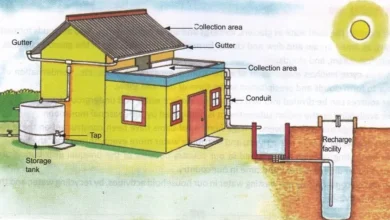 سیستم بازیافت آب ساختمان؛ کاهش مصرف آب شهری Building Water Recycling