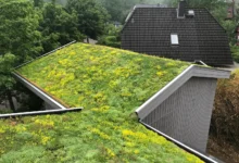 طراحی ساختمان پایدار؛ اصول معماری سبز و توسعه پایدار Sustainable Building Design