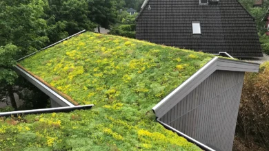 طراحی ساختمان پایدار؛ اصول معماری سبز و توسعه پایدار Sustainable Building Design