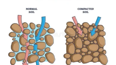 تراکم خاک؛ روش‌های آماده‌سازی زمین پروژه Soil Compaction