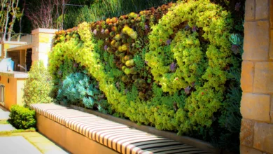 باغ عمودی ساختمان؛ طراحی دیوارهای سبز مدرن Vertical Garden Design